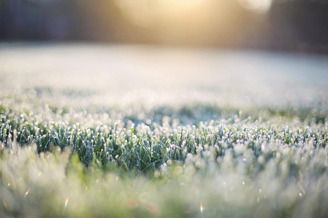 A frosty morning. Six postponed games in fourteen years.