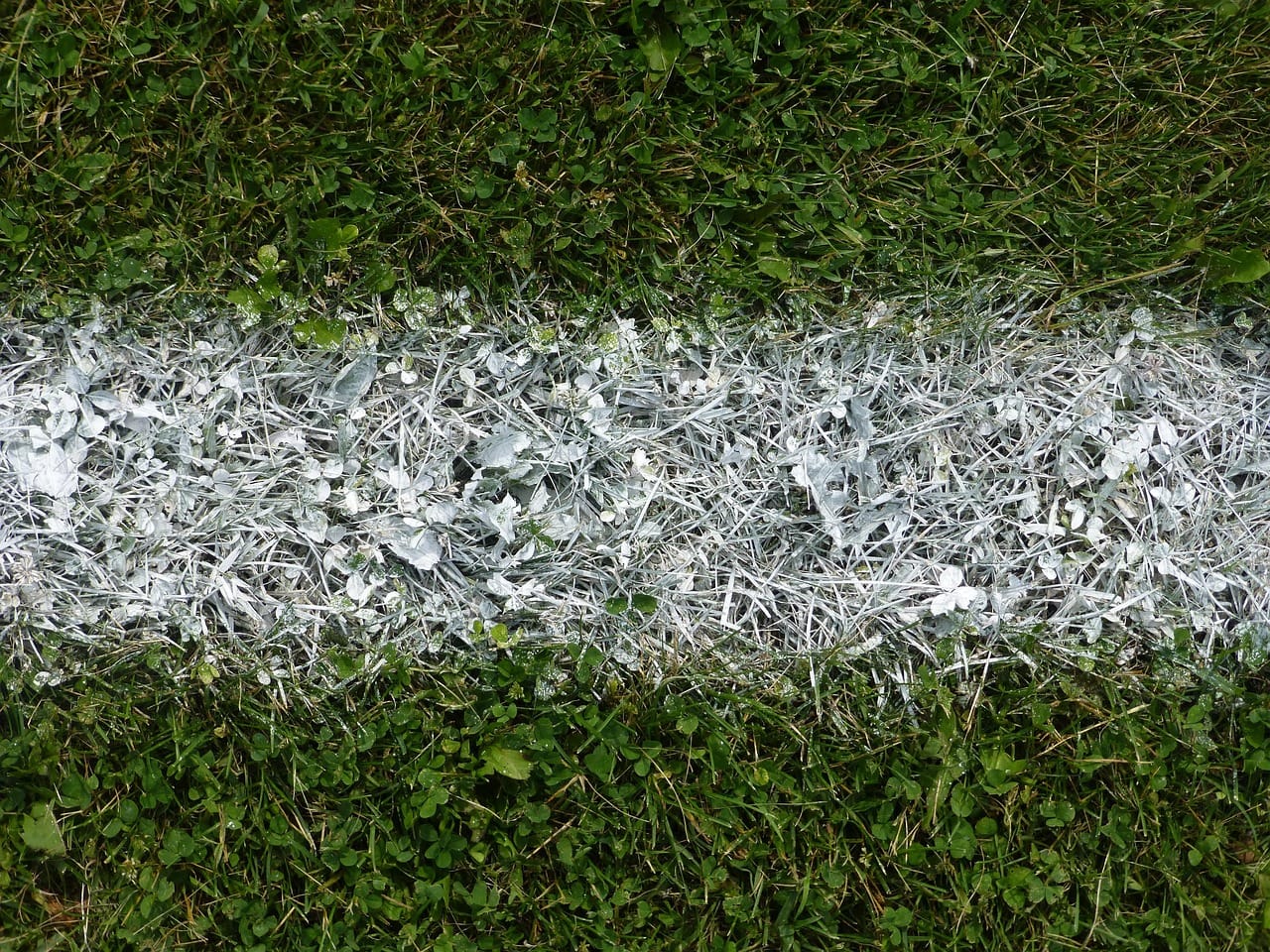 Fresh white lines on match day. Mary paints them by hand, twice a week.